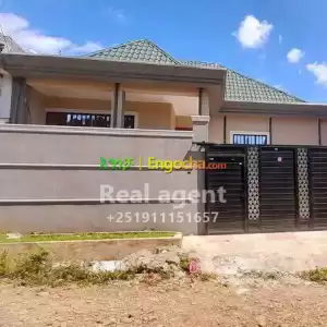 የሚሸጥ ቪላ ቤት       መሪ     አካባቢ ስፋት 150ካሬዋጋ 14.5   ሚሊየን ብር  ጥሪ  በዉስጡ 3መኝታ ቤት      2ባኞ ቤት     Price in Ethiopia